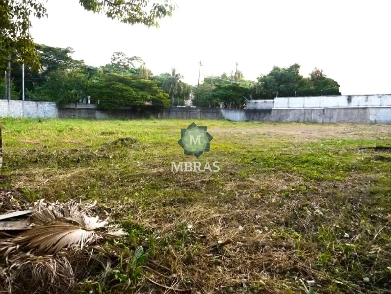 TERRENO EM ALTO DE PINHEIROS - 1726m² - foto 0