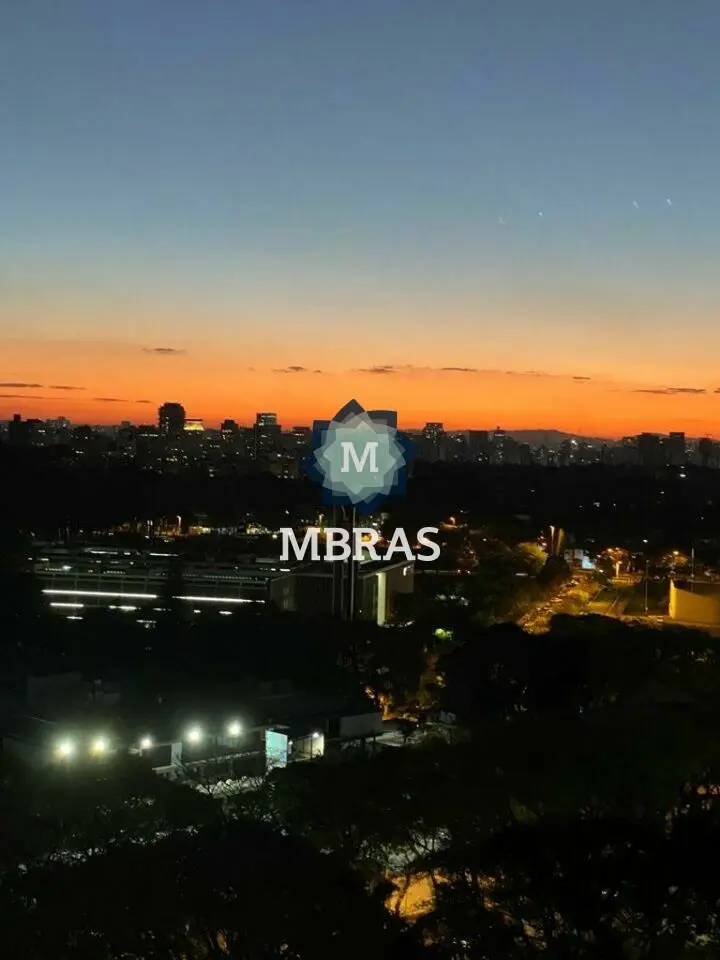Vista para o Parque Ibirapuera - foto 1