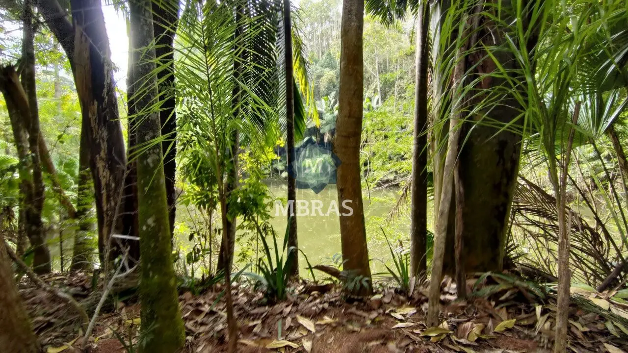 Sítio charmoso próximo a cidade - foto 0