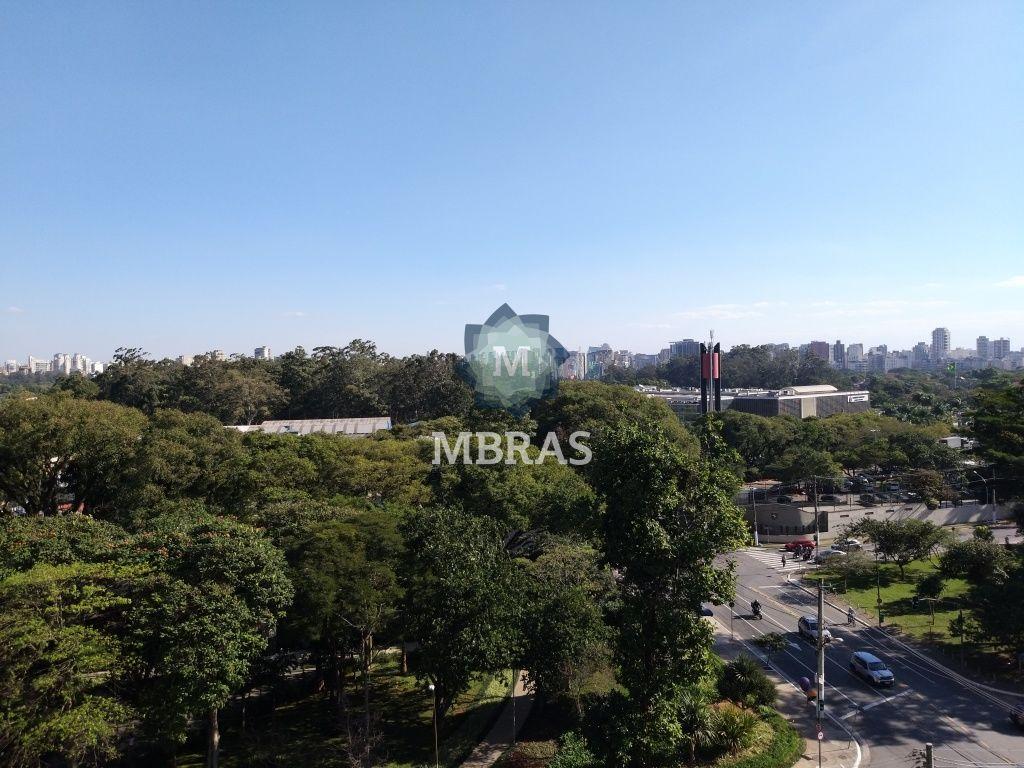 Ícone de Luxo | Vista permanente | Parque do Ibirapuera - foto 0
